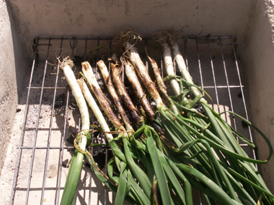 grilling calcots