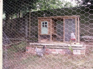 Recycled Chicken Coop