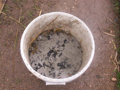 Turning your wood ash into lye for soap making — Raven's Roots Naturalist  School